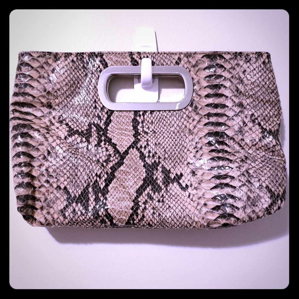 Banana Republic snake skin clutch